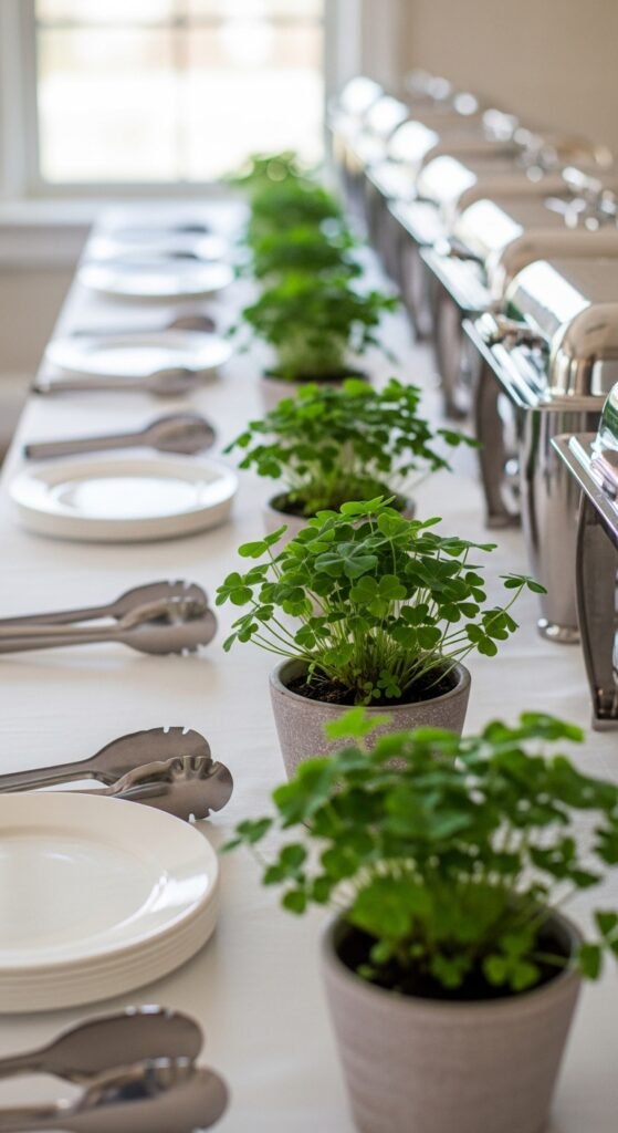 Mini Potted Shamrocks