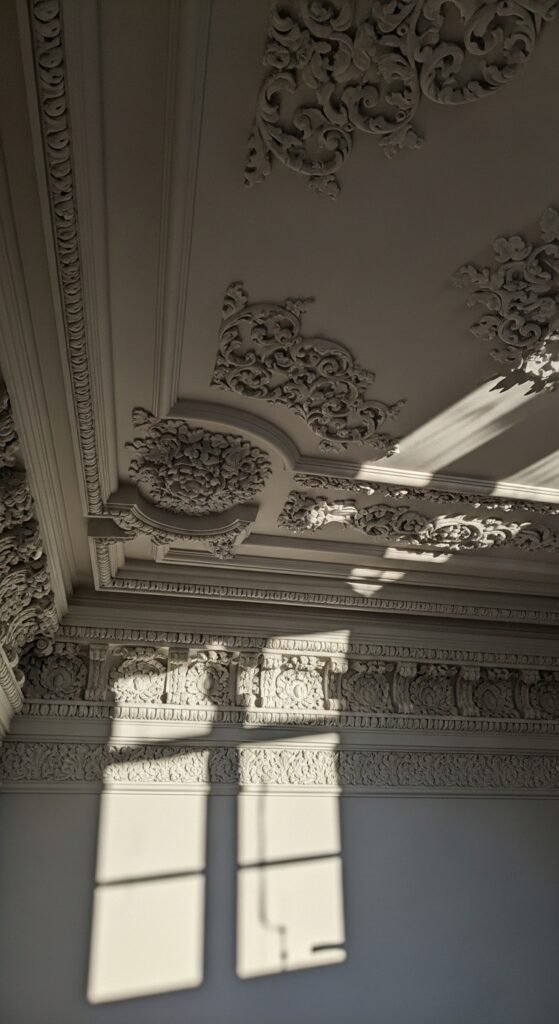 Highlight Ceiling Moldings